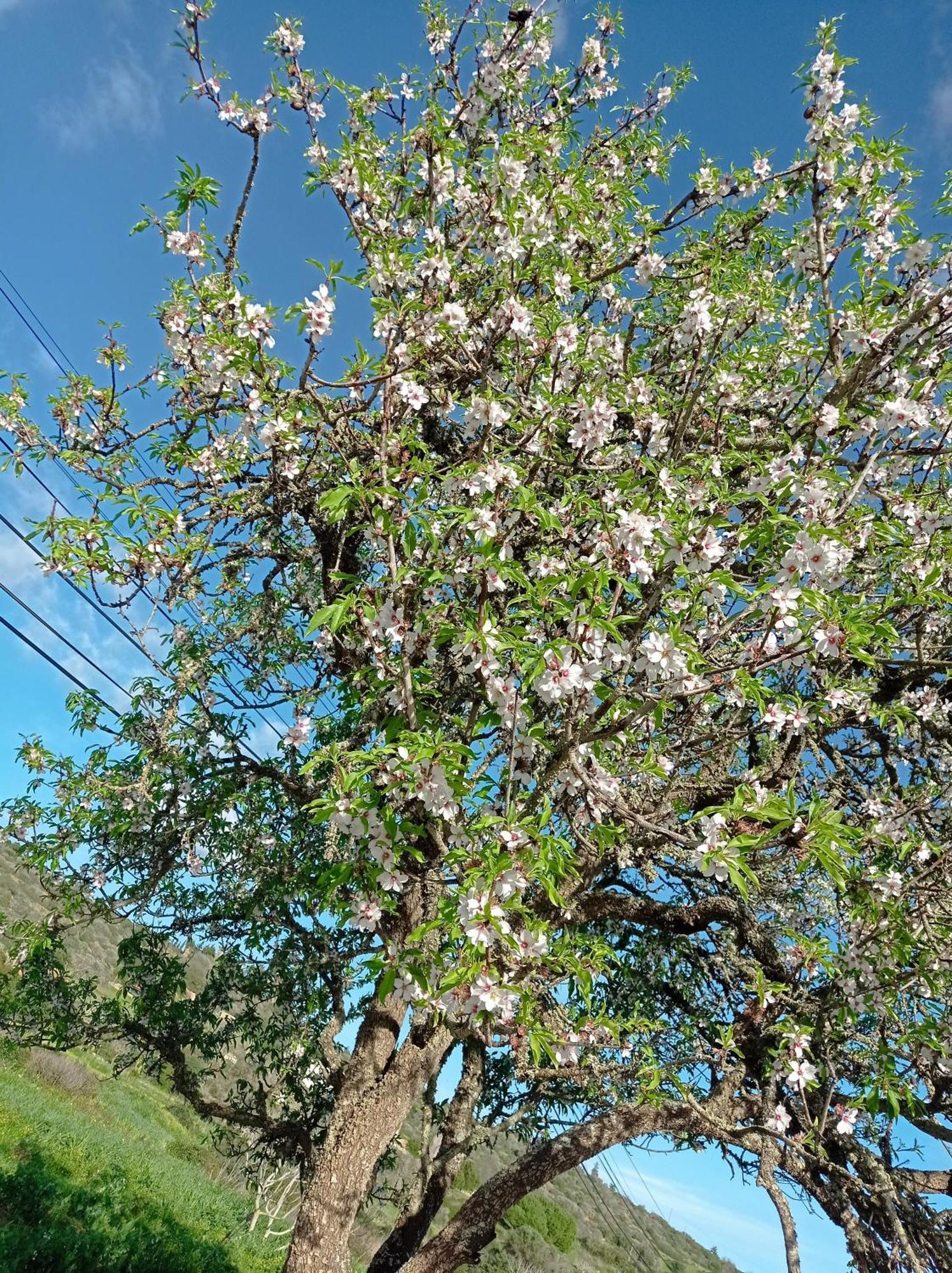 Willa Casa Raios De Sol Burgau Zewnętrze zdjęcie